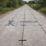 Droga z pełnych płyt betonowych wśród drzew i zieleni